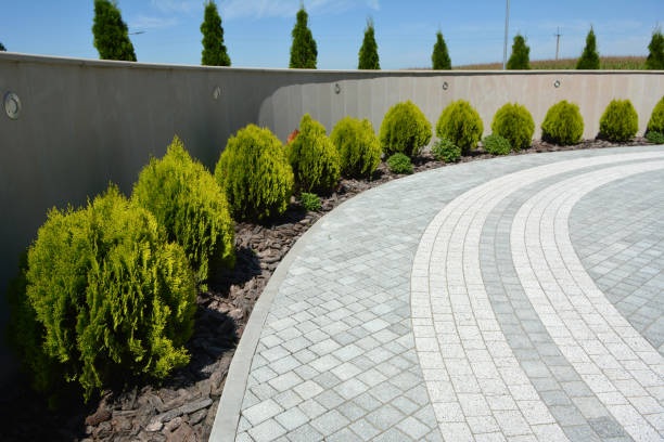 Best Concrete Paver Driveway  in Oak Ridge North, TX